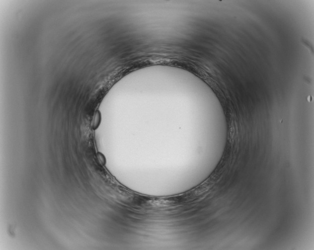 X0000102000367200807180853