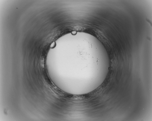 X0000102000368200807180853