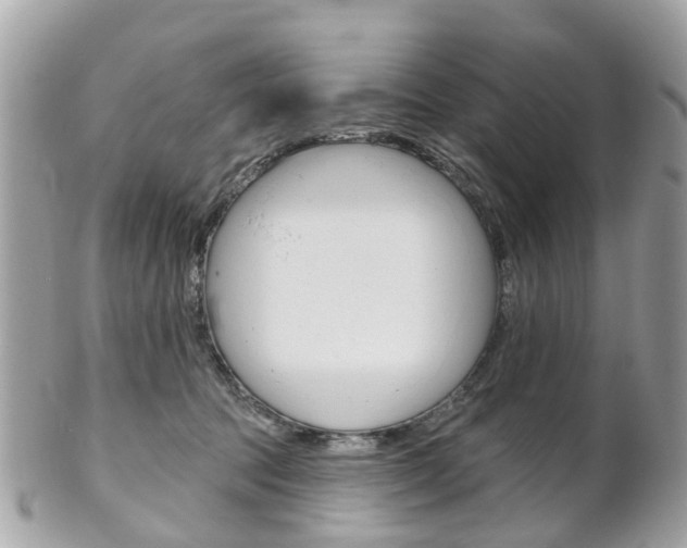 X0000102000369200807180853