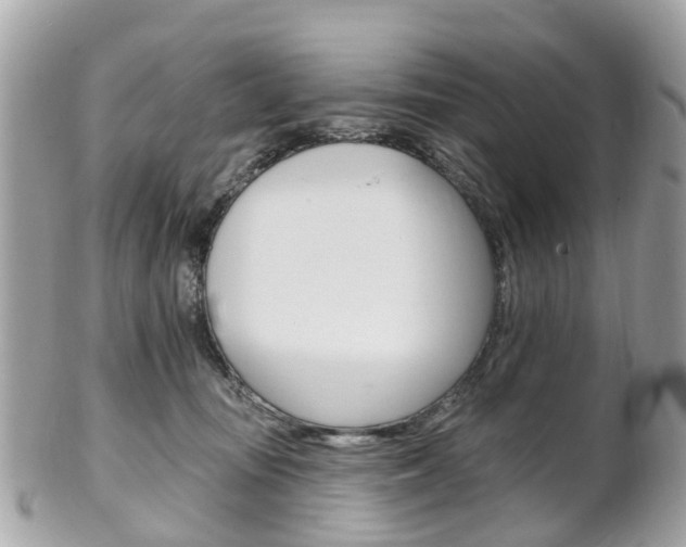 X0000102000371200807180853