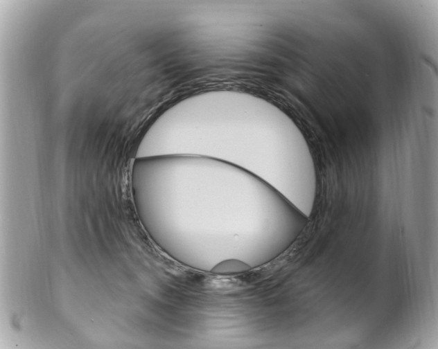 X0000102000372200807180853