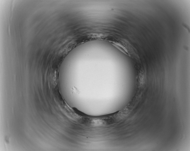 X0000102000376200807180854