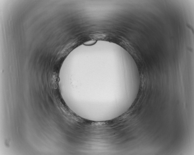 X0000102000378200807180854