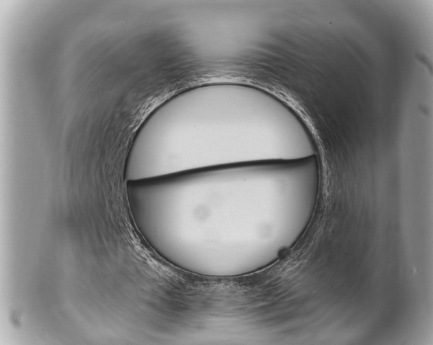 X0000102000385200807180853