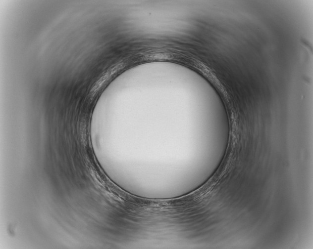 X0000102000386200807180853