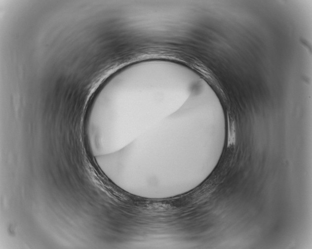 X0000102000387200807180853