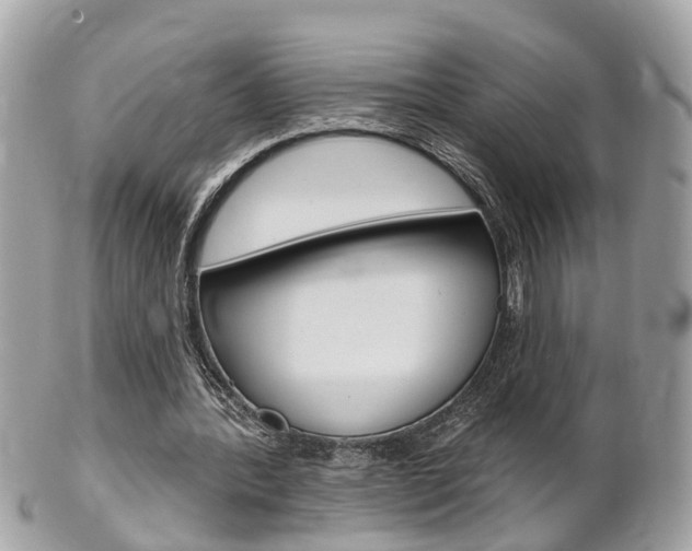 X0000102000388200807180853