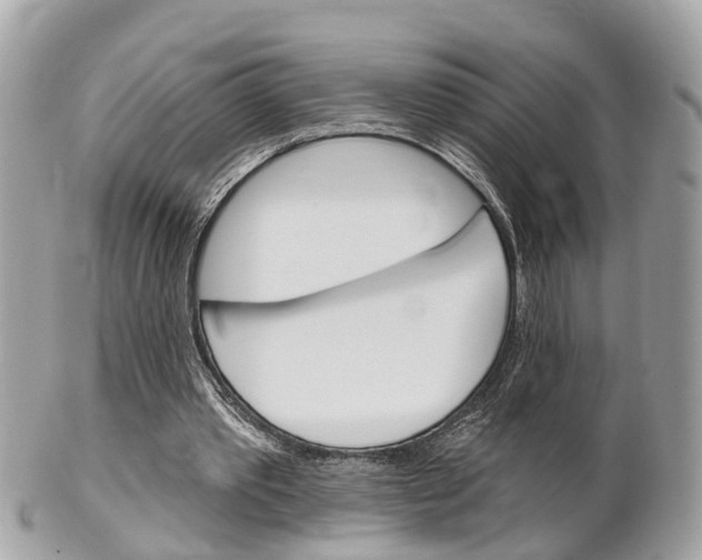 X0000102000389200807180853