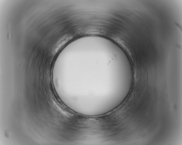 X0000102000390200807180853