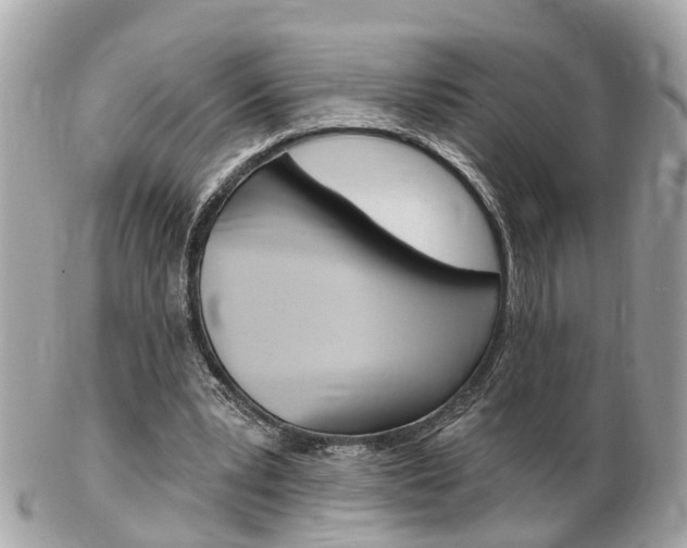 X0000102000391200807180853