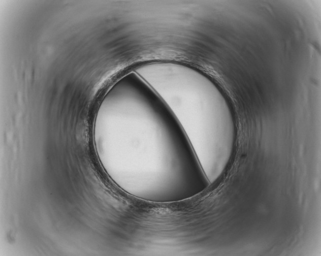 X0000102000392200807180853