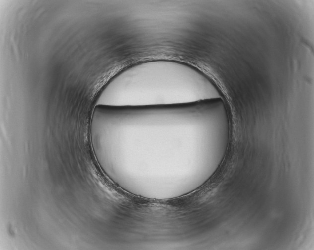 X0000102000393200807180853