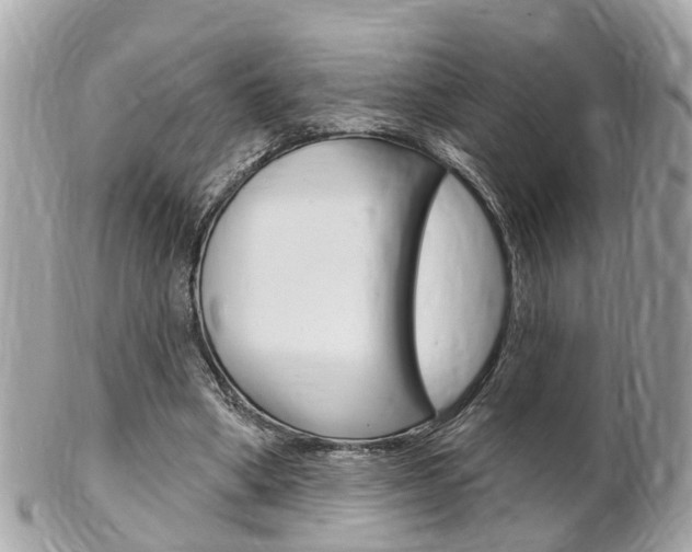 X0000102000394200807180853