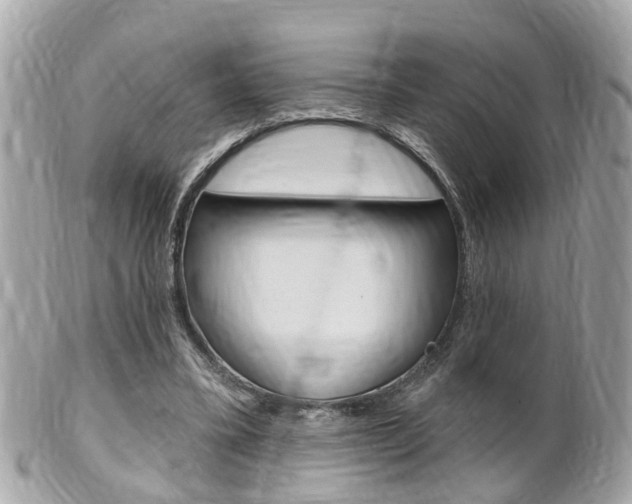 X0000102000395200807180853