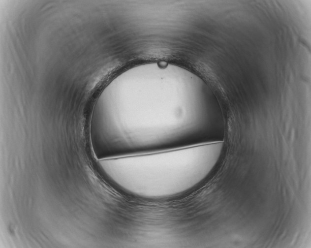 X0000102000396200807180853