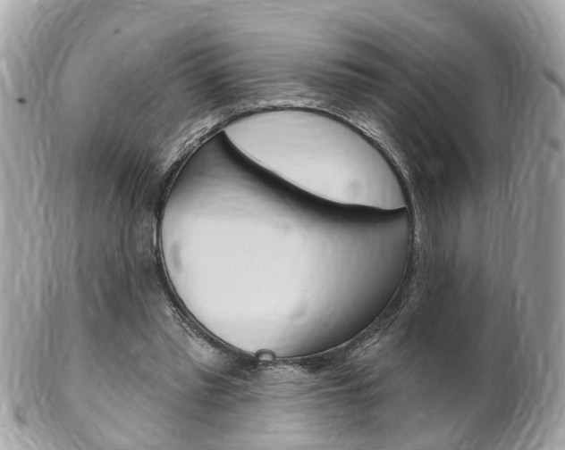 X0000102000397200807180853