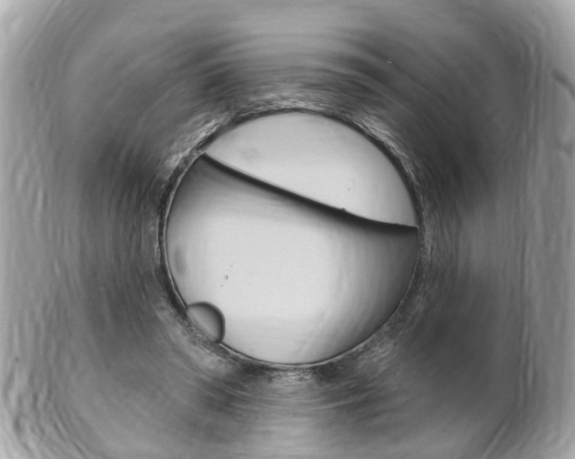 X0000102000398200807180853