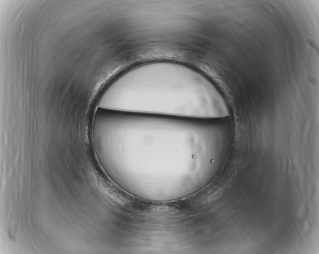 X0000102000399200807180853