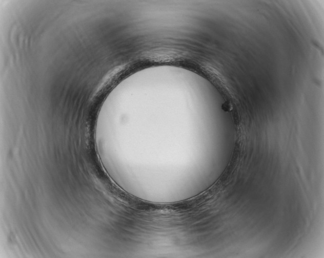 X0000102000400200807180853