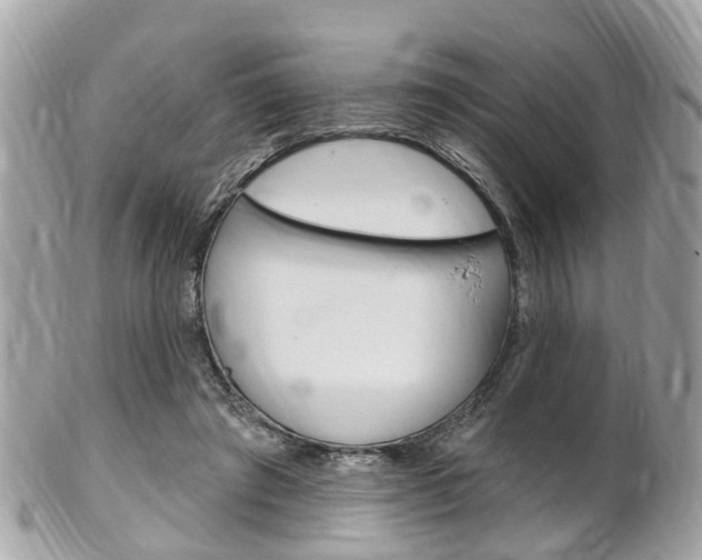 X0000102000401200807180853