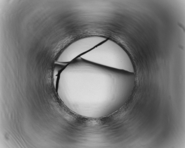 X0000102000402200807180853