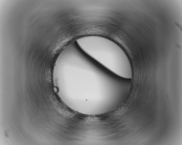 X0000102000403200807180853