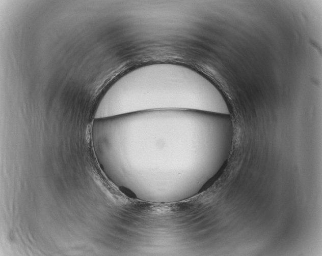 X0000102000405200807180853