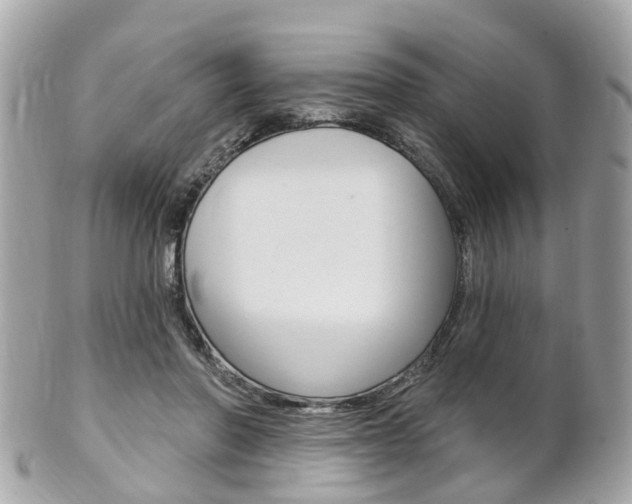 X0000102000406200807180853