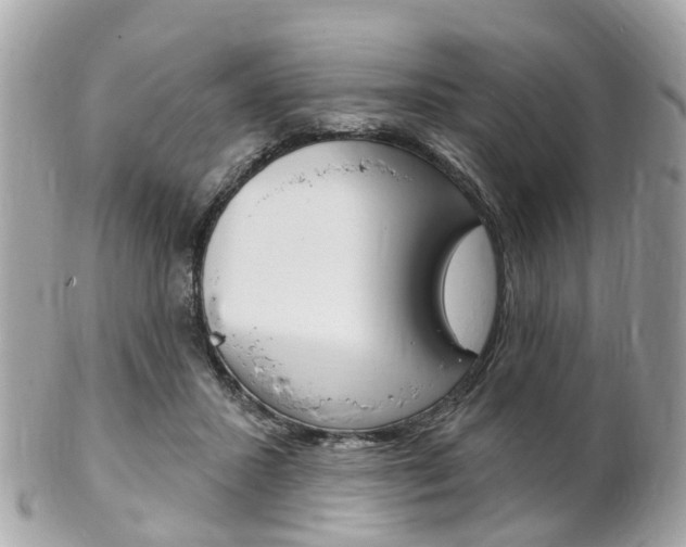 X0000102000407200807180853