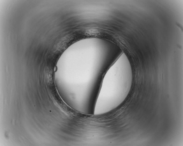 X0000102000408200807180853