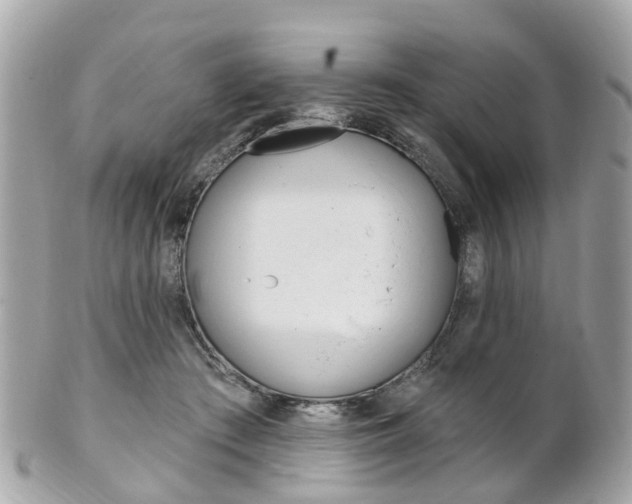 X0000102000409200807180853