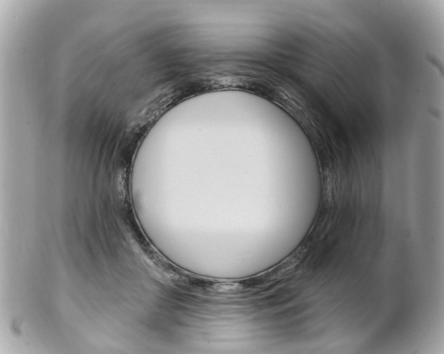 X0000102000410200807180853