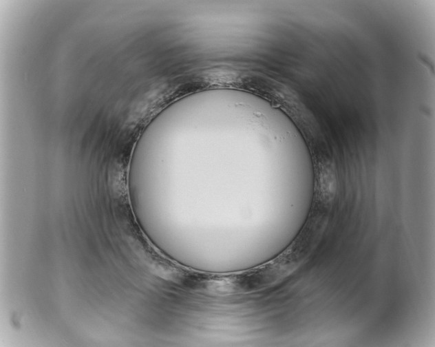 X0000102000411200807180853