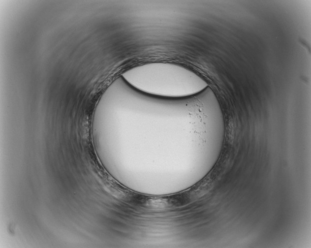 X0000102000413200807180853