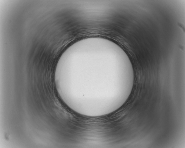 X0000102000415200807180853