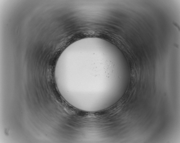 X0000102000416200807180853