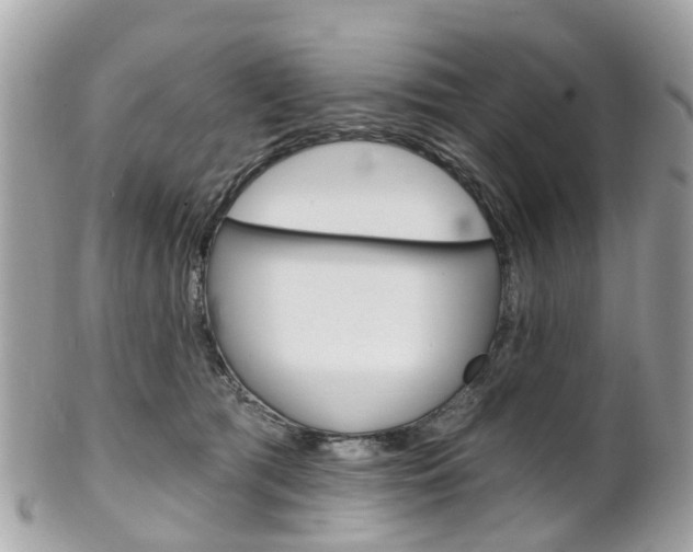 X0000102000417200807180853