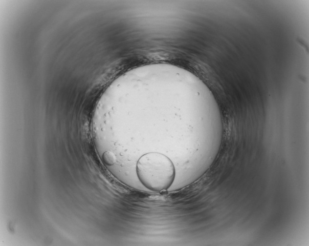 X0000102000418200807180853