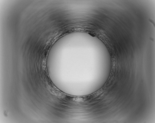 X0000102000419200807180852