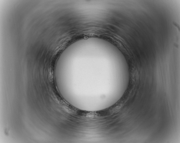 X0000102000420200807180852