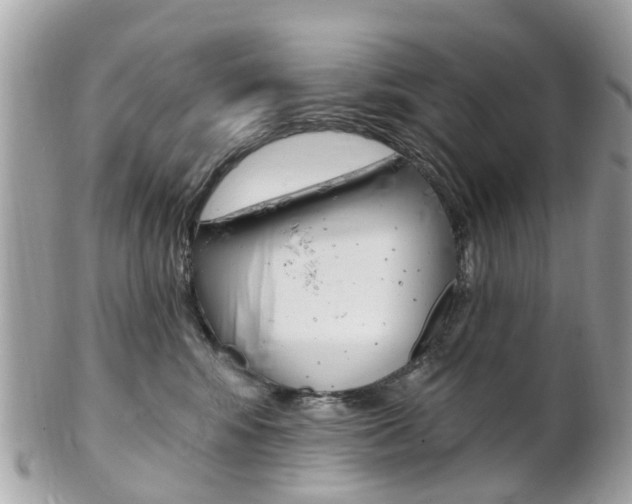 X0000102000424200807180852
