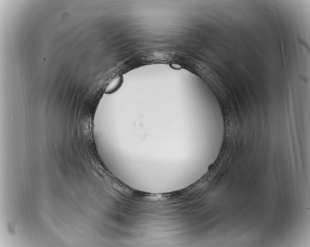 X0000102000425200807180852