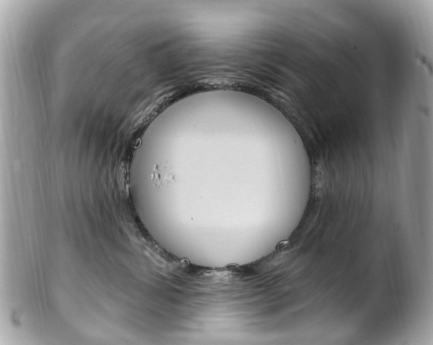 X0000102000428200807180852