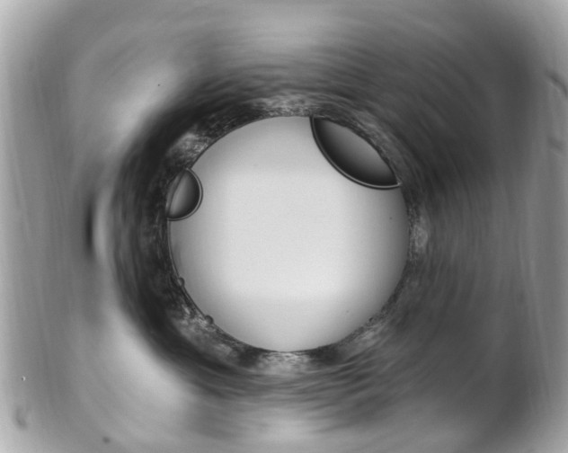 X0000102000429200807180852