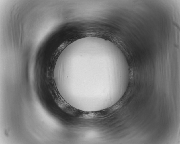 X0000102000430200807180852