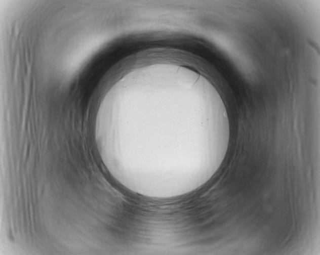 X0000102000431200807180852