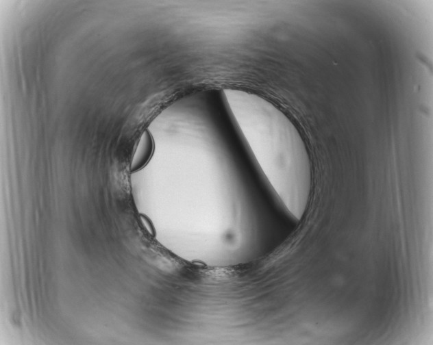 X0000102000432200807180852