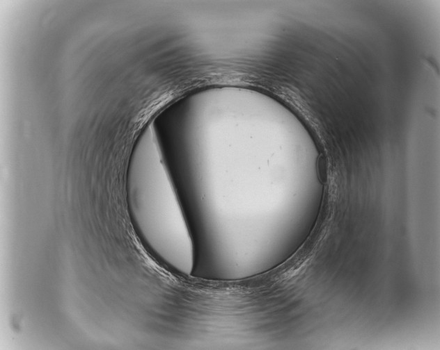 X0000102000433200807180851