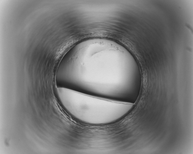 X0000102000434200807180851