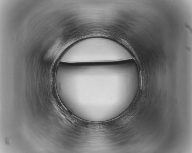 X0000102000435200807180851